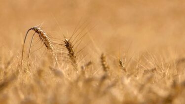 18.祂被赐为世人的救主《到主面前来》-生命成长