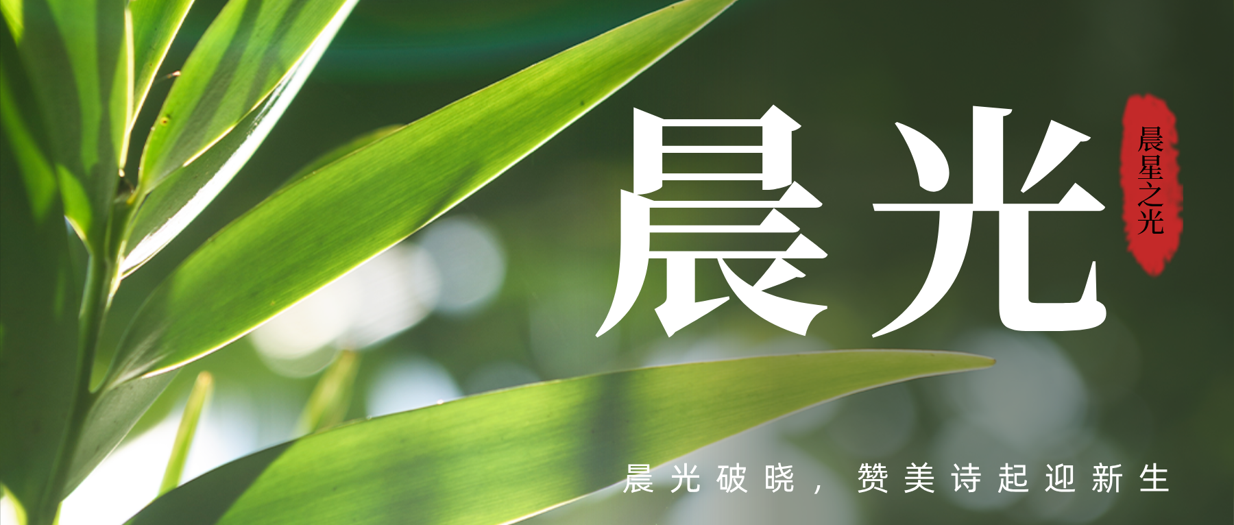 云上牧歌—在神前省察-生命成长